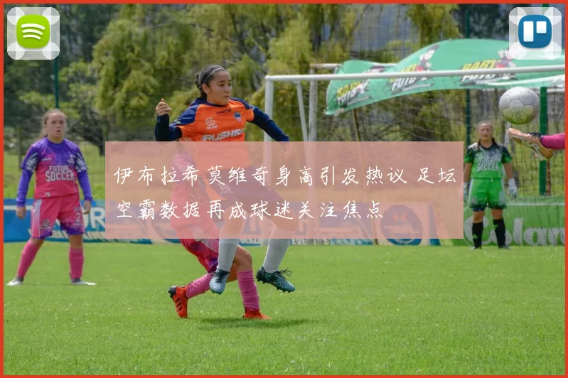 伊布拉希莫维奇身高引发热议 足坛空霸数据再成球迷关注焦点