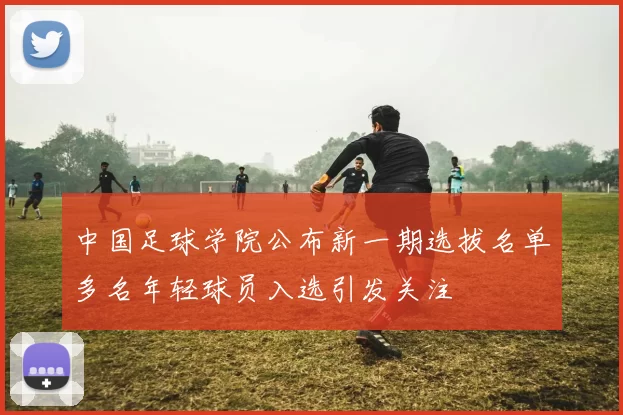 中国足球学院公布新一期选拔名单多名年轻球员入选引发关注