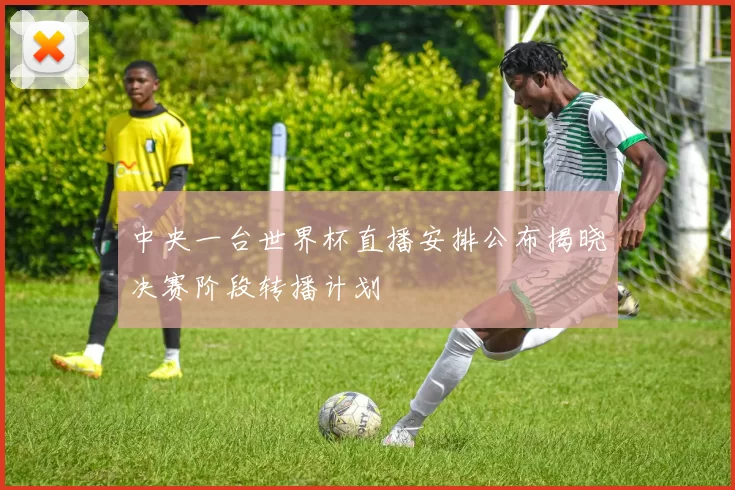 中央一台世界杯直播安排公布揭晓决赛阶段转播计划