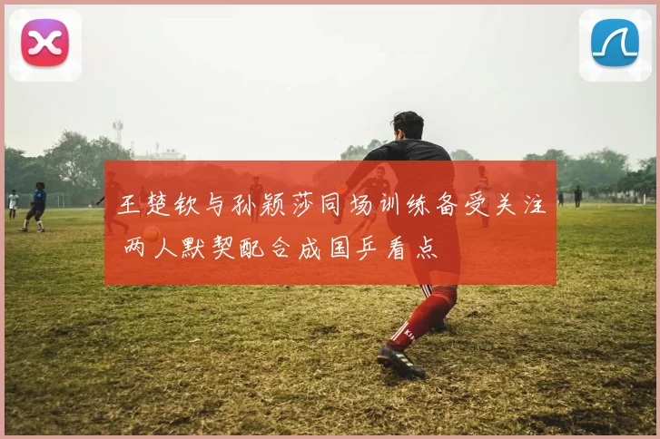 王楚钦与孙颖莎同场训练备受关注 两人默契配合成国乒看点