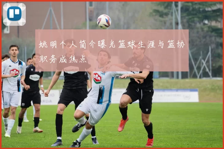 姚明个人简介曝光篮球生涯与篮协职务成焦点
