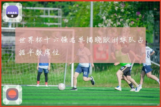世界杯十六强名单揭晓欧洲球队占据半数席位