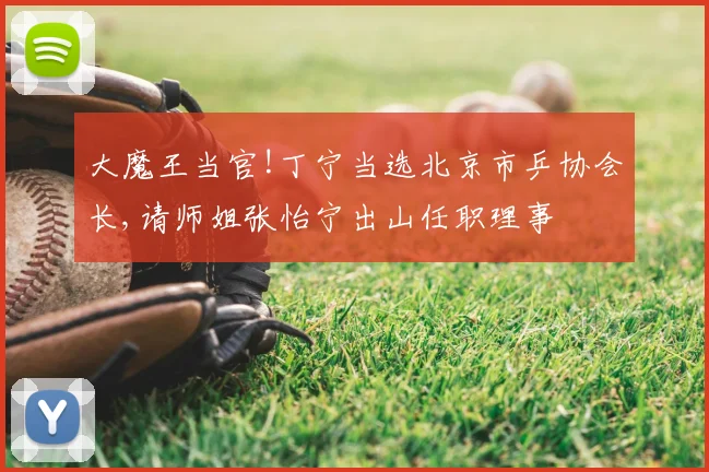 大魔王当官!丁宁当选北京市乒协会长,请师姐张怡宁出山任职理事