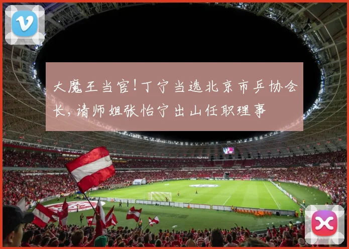 大魔王当官!丁宁当选北京市乒协会长,请师姐张怡宁出山任职理事